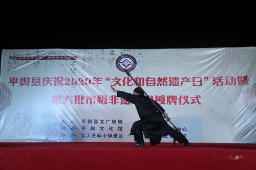 传承民族瑰宝，演绎非遗华章 平舆县举办文化和自然遗产日活动暨第六批市级非遗授牌仪式